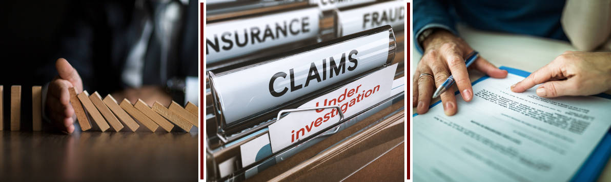 Picture representing several practice ares supported by Luks, Santaniello, Petrillo & Cohen