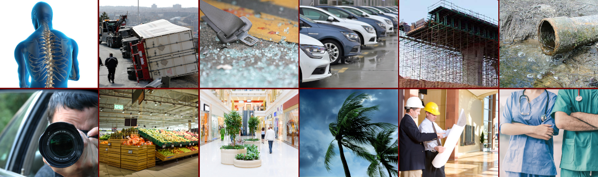 Picture representing several practice ares supported by Luks, Santaniello, Petrillo & Cohen